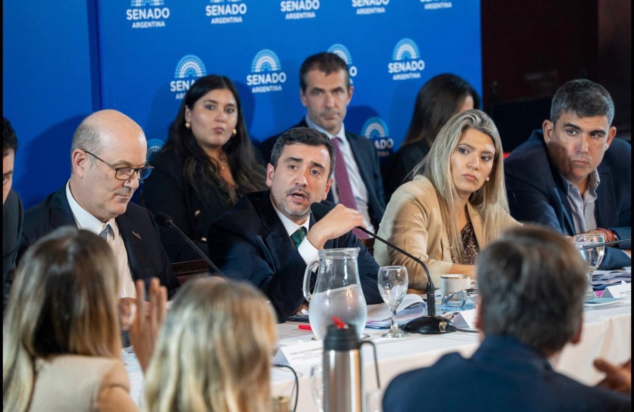 Senado: Agustin Coto a cargo del debate para reforzar la propiedad privada